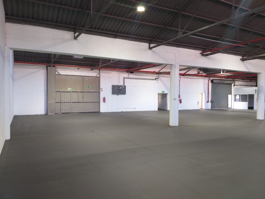 To Let Commercial Property for Rent in Paarden Eiland Western Cape